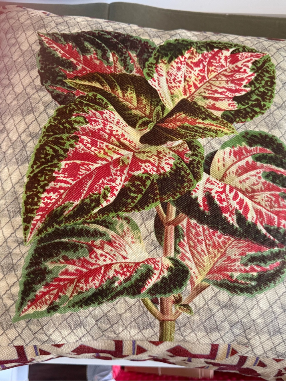 John Derian Designers Guild Botanical Print Cushions/ pillows - set of 2 New